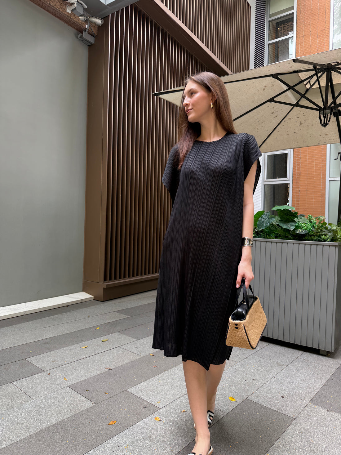 Wrinkle-Free & Cooling Free Size Flair Dress