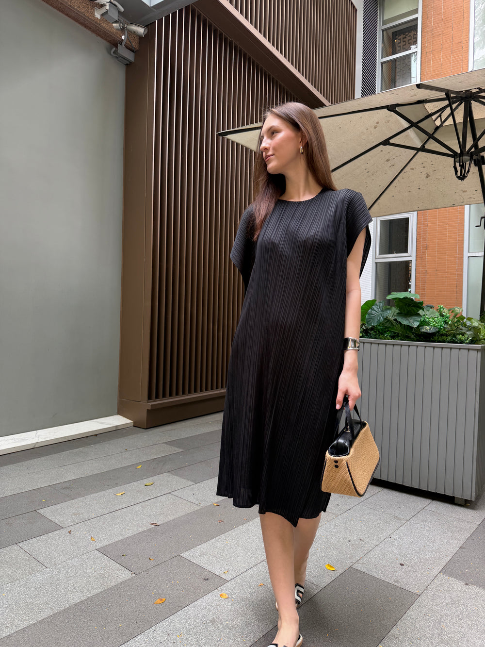 Wrinkle-Free & Cooling Free Size Flair Dress